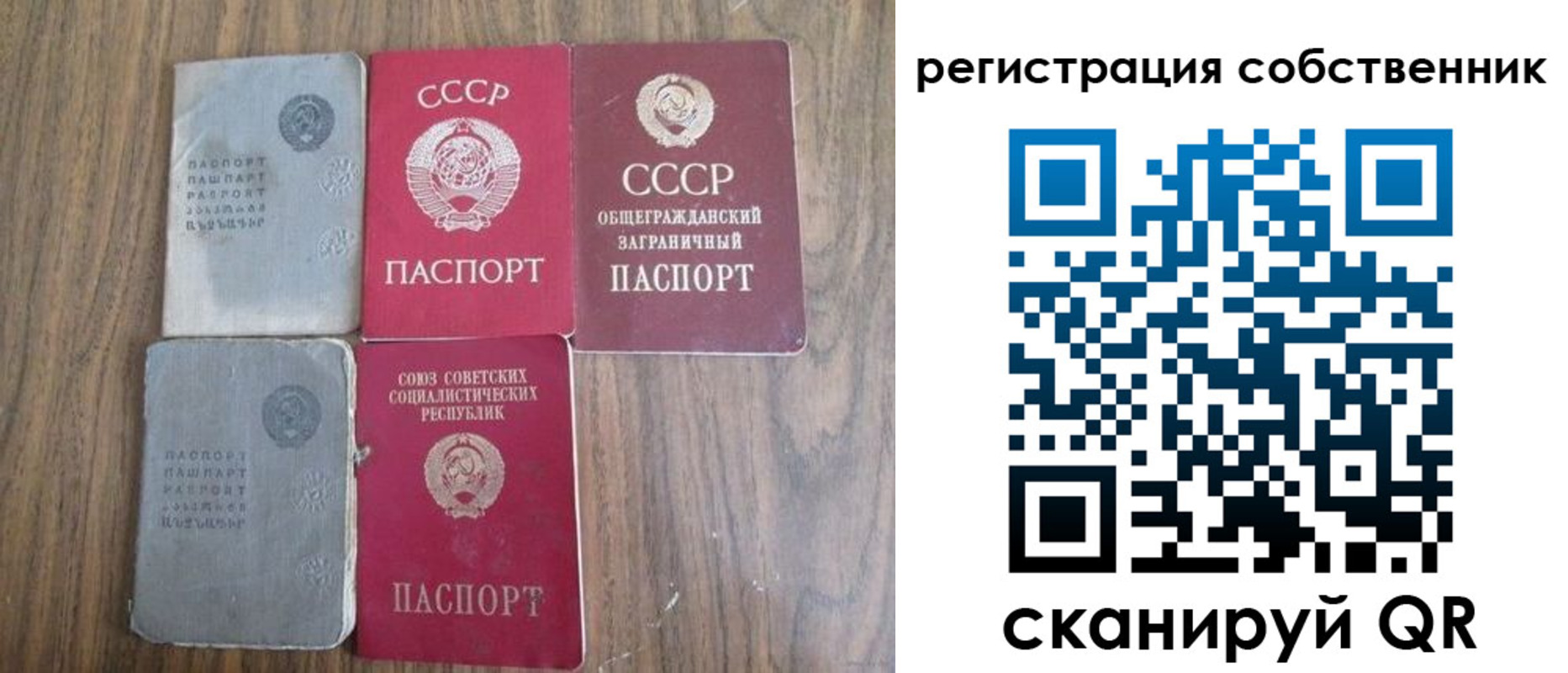 прописка поиск в Солнечногорске